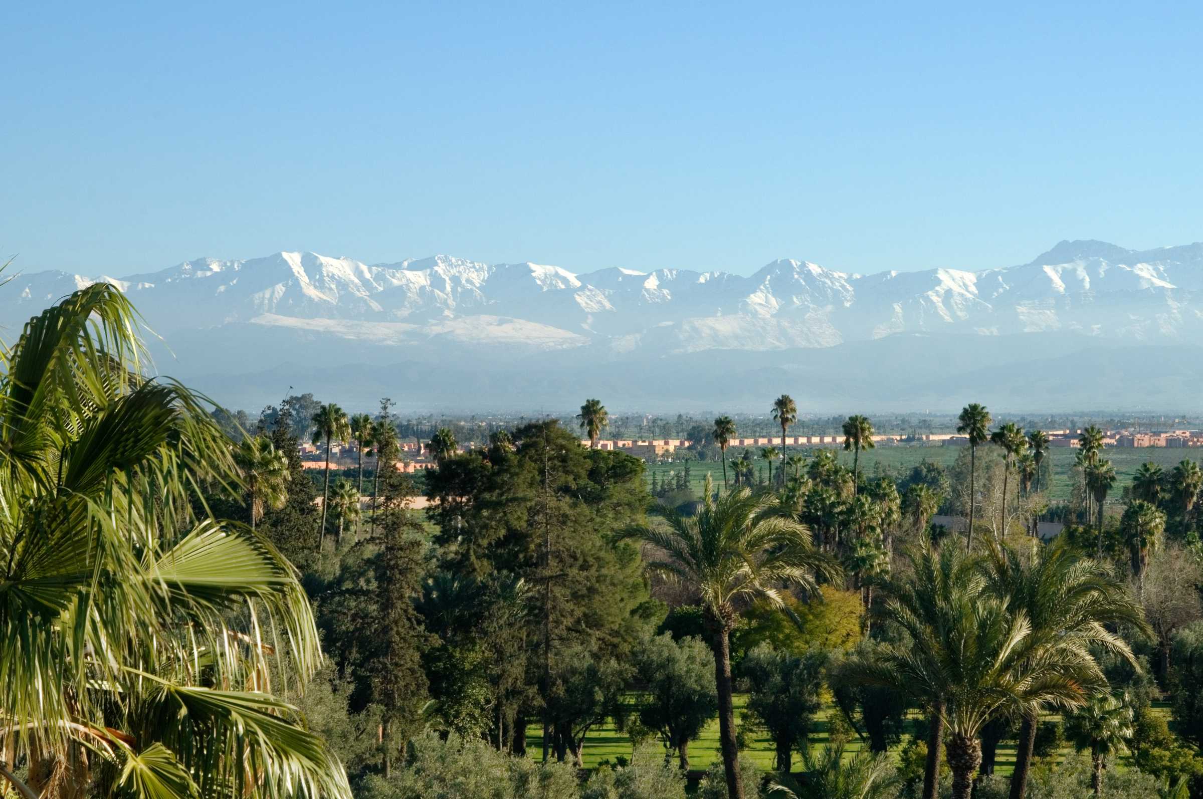 La Mamounia: A Secret Garden Oasis in Marrakech